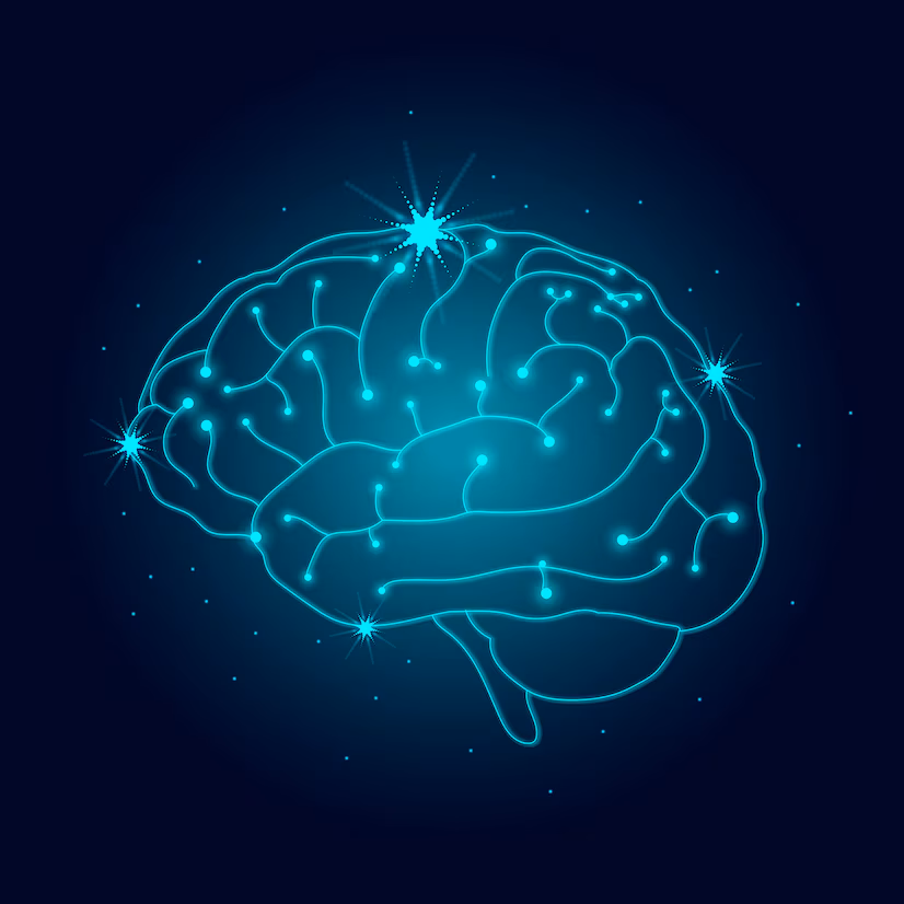 Knowledge Base